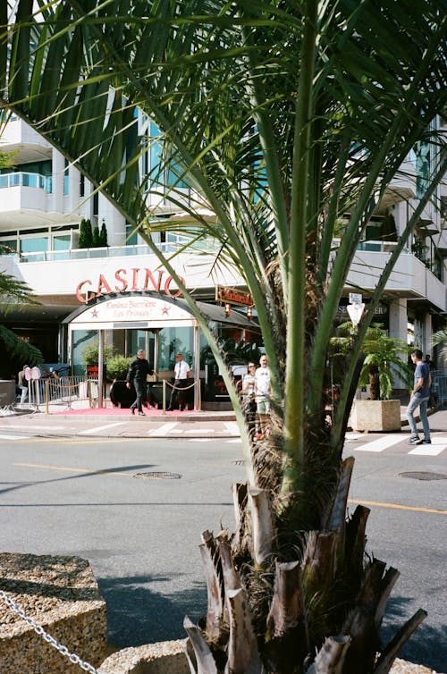 casino-114