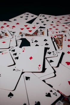 casino-8404